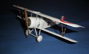 Galerie: Nieuport 17