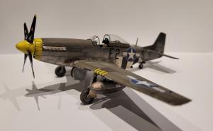 Bausatz: North American P-51D Mustang