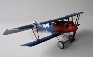 : Pfalz D.IIIa