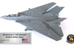 Grumman F-14A Plus Tomcat