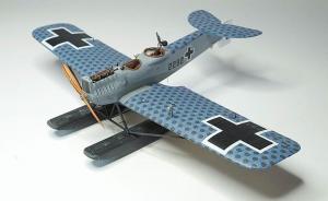 Hansa-Brandenburg W.29