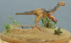 Conchoraptor gracilis