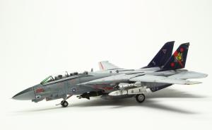 Grumman F-14B „Bombcat“