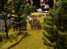 Tactica 2014