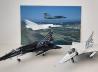 AMD Mirage III RS «black &amp; white»