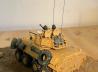LAV-25