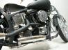 Harley-Davidson Springer Softail
