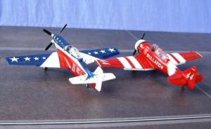 Reno Racer  P-51 D & T-6