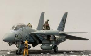 : Grumman F-14A Tomcat