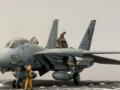 Grumman F-14A Tomcat (1:72 Hasegawa)