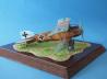 Albatros D.III