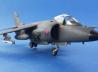 BAe Sea Harrier FRS. Mk 1