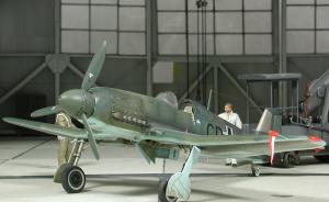 Heinkel He 100 D