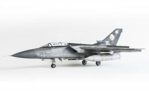 Panavia Tornado F.3