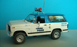 : 1981 Ford Bronco