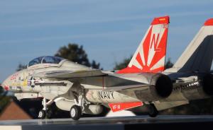 Bausatz: Grumman F-14A Tomcat