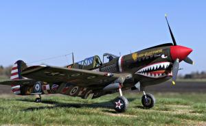 Galerie: Curtiss P-40N Warhawk