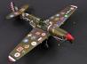 Curtiss P-40N Warhawk