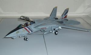 Grumman F-14D Tomcat