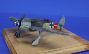 Galerie: Focke-Wulf Fw 190 A8\R2
