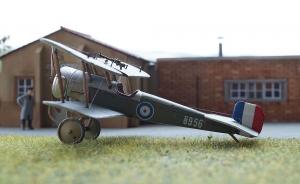 Bristol Scout