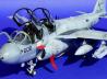 Grumman EA-6B Prowler