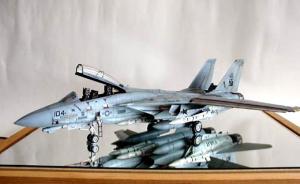 Grumman F-14D Tomcat