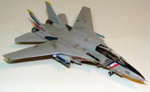 Grumman F-14D Tomcat