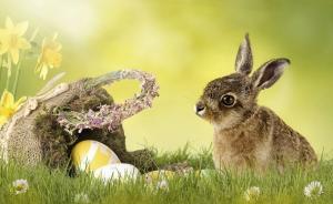 Galerie: Frohe Ostern