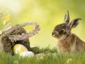 Frohe Ostern (Ohne verschiedene Hersteller)