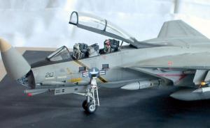 Grumman F-14A Tomcat