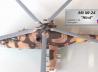 Mil Mi-24D Hind-D