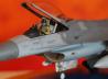General Dynamics F-16CJ Fighting Falcon