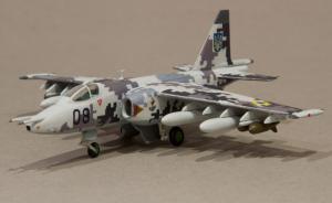 : Suchoi Su-25 Frogfoot