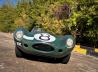 Jaguar D-Type