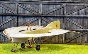 Lee-Richards Annular Monoplane