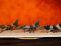 F-16CJ Block 50 (1:32 Tamiya)
