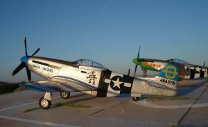Galerie: North American P-51D Mustang