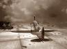 Supermarine Spitfire Mk II