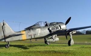 Focke-Wulf Fw 190 F-8/R1