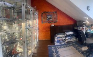 Galerie: Modellbauwelt