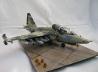 Suchoi Su-25 Frogfoot