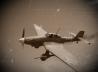 Junkers Ju 87 D-3