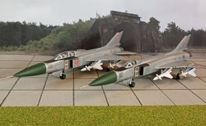 Galerie: Suchoi Su-22 Fitter F und G