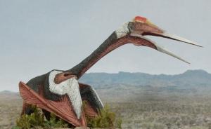 Quetzalcoatlus northropi