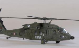 : Sikorsky S-70A-42 Black Hawk