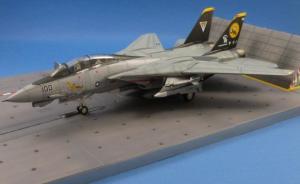 Grumman F-14D Tomcat