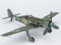 Focke-Wulf Fw 190 D-13 (1:48 Eduard Bausätze)