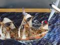Mayflower II sails again! (1:72 Revell)