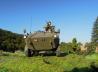Steyr Pandur A1